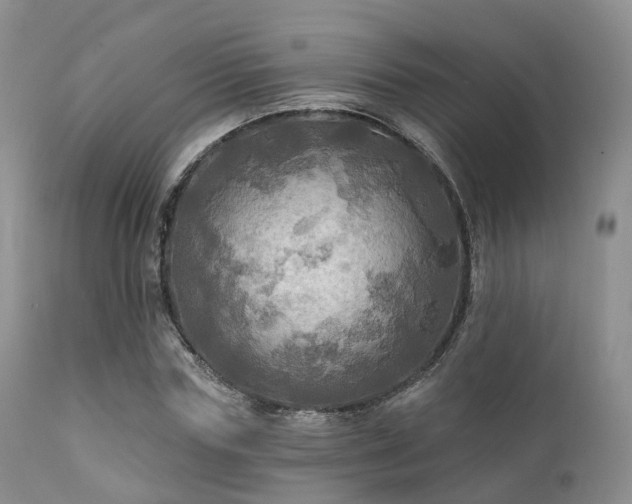 X0000112100827200908111415