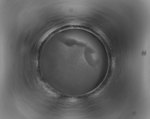 X0000112100829200908111415