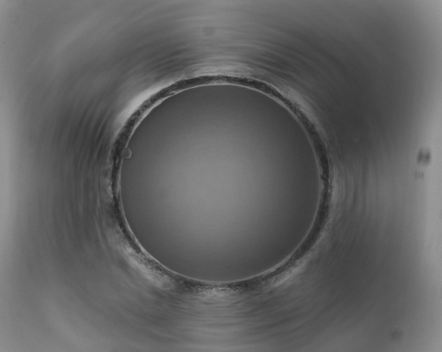 X0000112100830200908111415