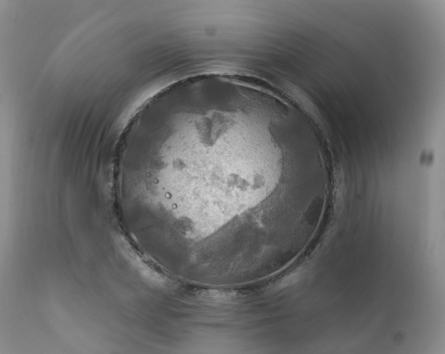 X0000112100831200908111415