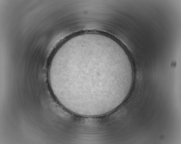X0000112100832200908111415