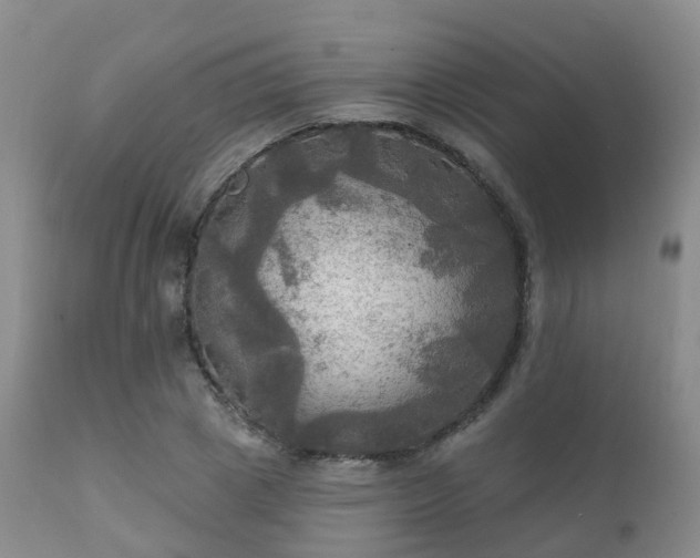 X0000112100833200908111415