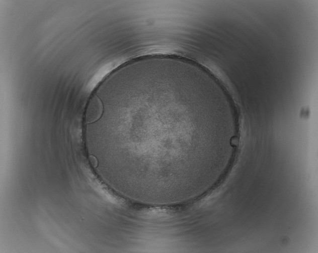 X0000112100834200908111415