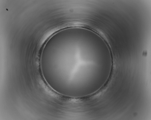 X0000112100835200908111415
