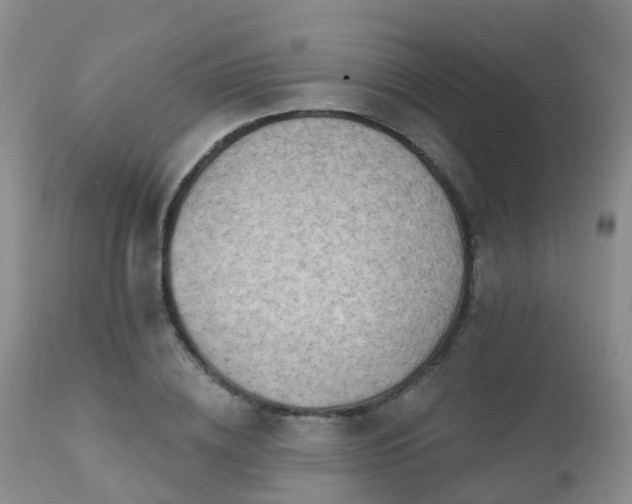 X0000112100836200908111415