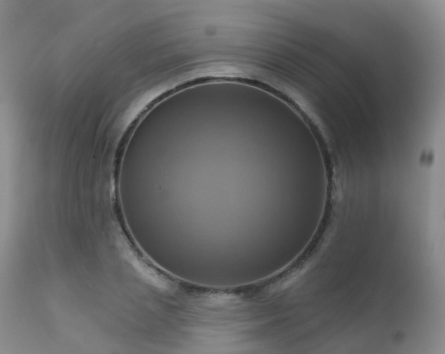 X0000112100837200908111415