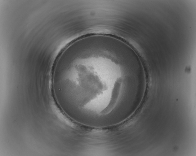 X0000112100840200908111415