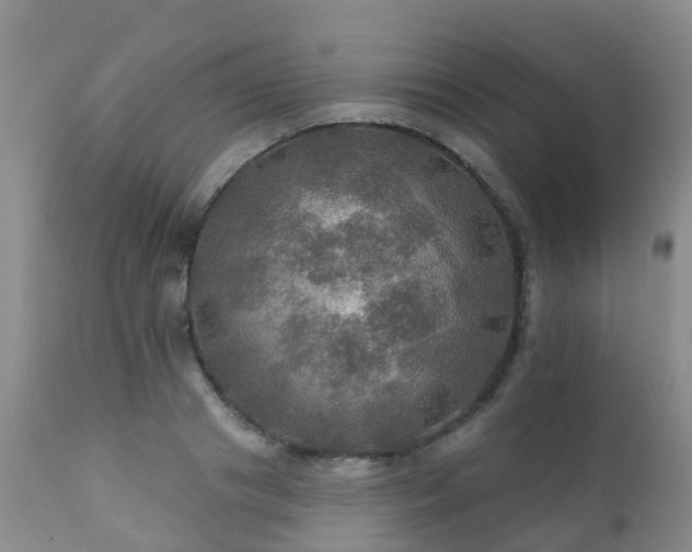 X0000112100841200908111415