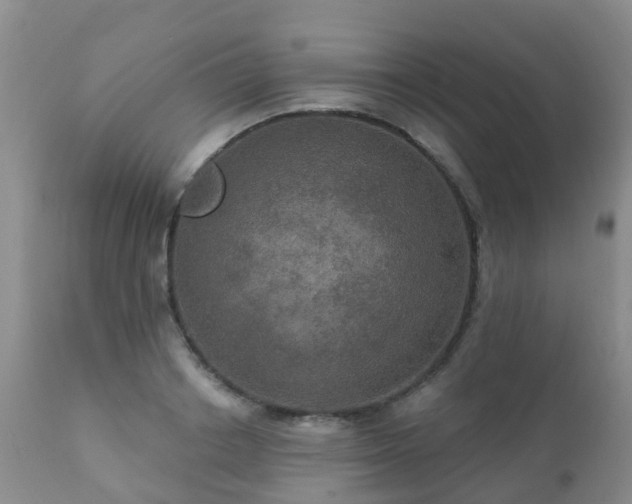 X0000112100842200908111415