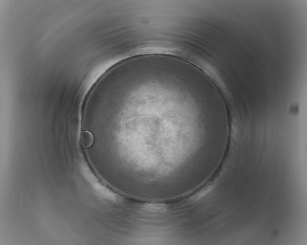 X0000112100844200908111415