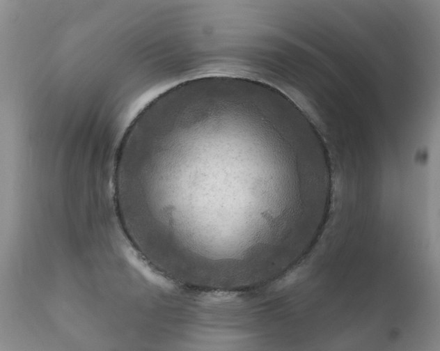 X0000112100846200908111415
