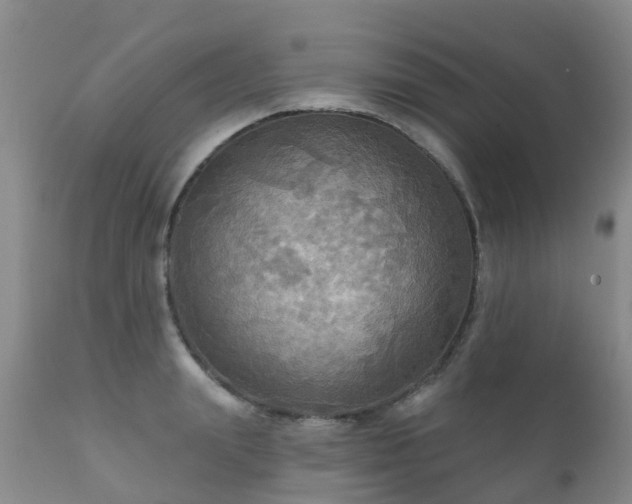 X0000112100847200908111415