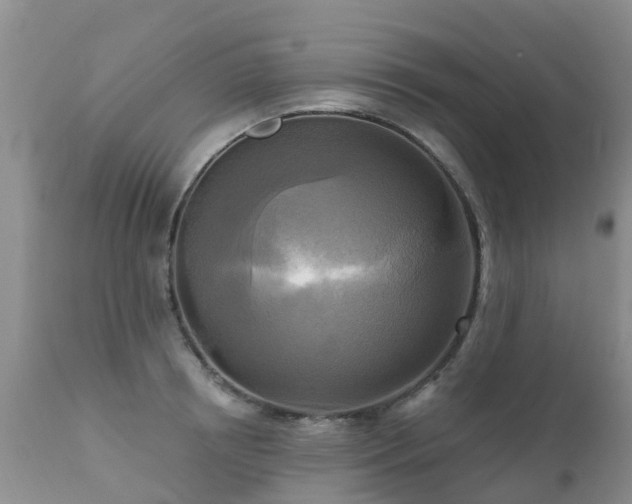 X0000112100850200908111416
