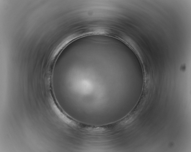 X0000112100851200908111416
