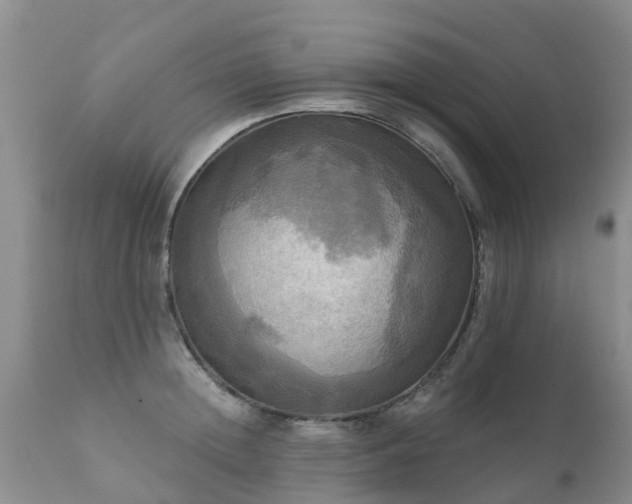 X0000112100852200908111416
