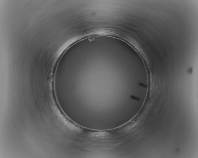 X0000112100853200908111416