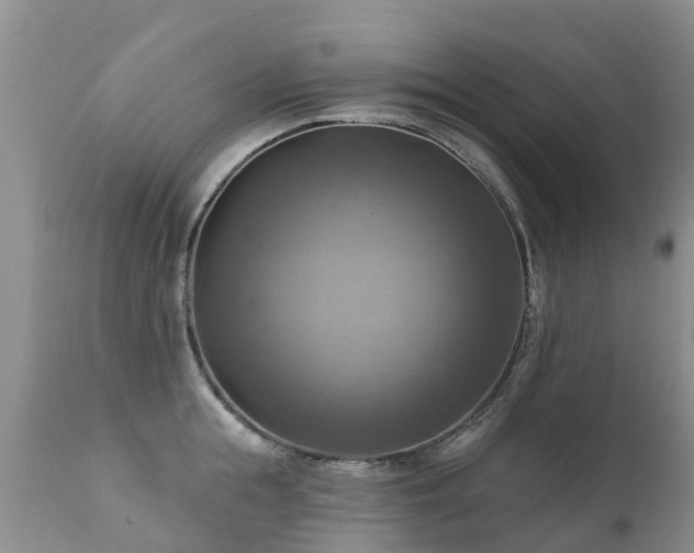 X0000112100855200908111416
