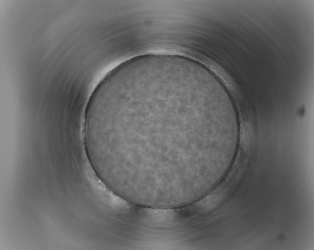 X0000112100856200908111416
