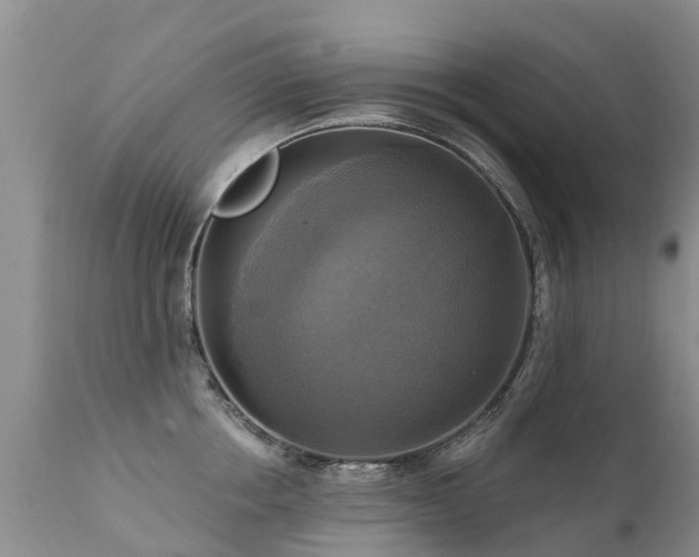 X0000112100858200908111416
