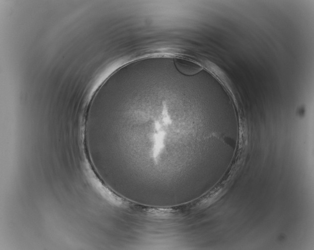 X0000112100859200908111416