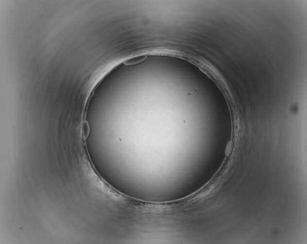 X0000112100860200908111416