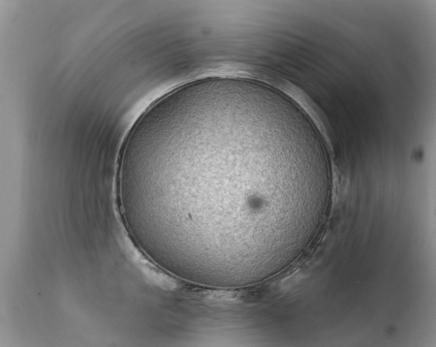 X0000112100861200908111416