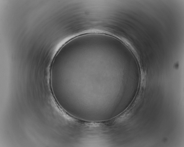 X0000112100862200908111416