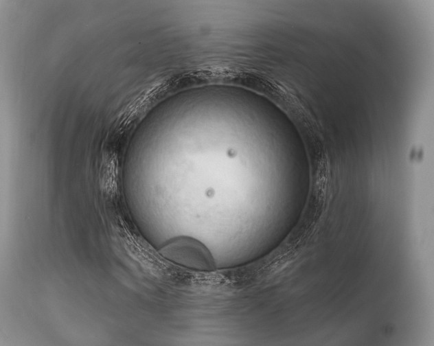 X0000112100866200908111415