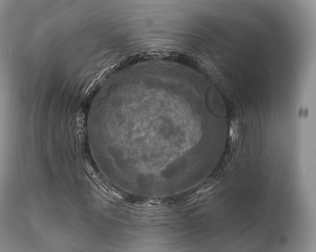 X0000112100867200908111415