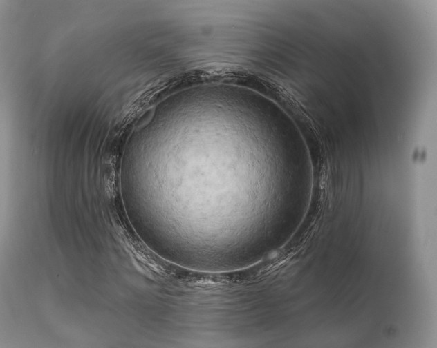 X0000112100868200908111415