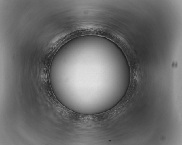 X0000112100869200908111415
