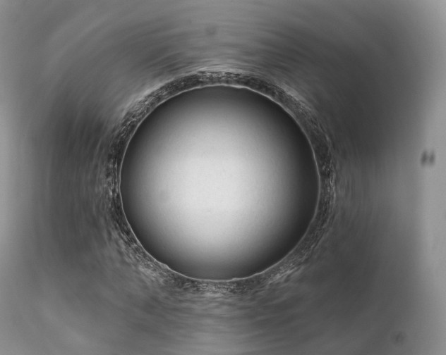 X0000112100870200908111415