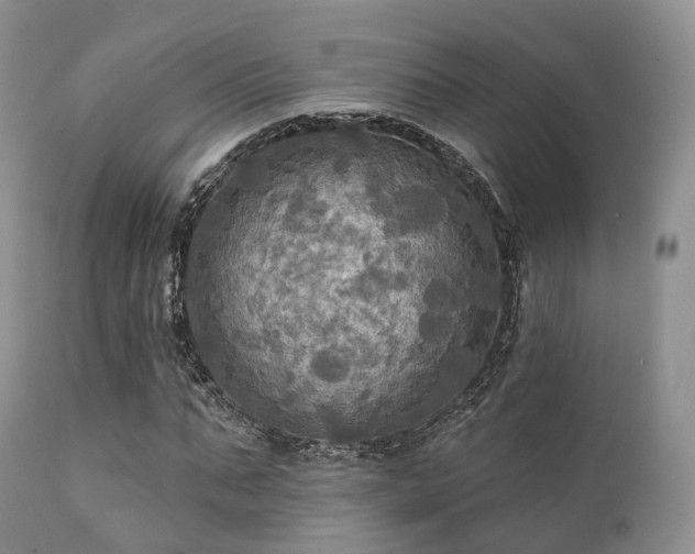 X0000112100871200908111415