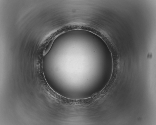 X0000112100872200908111415