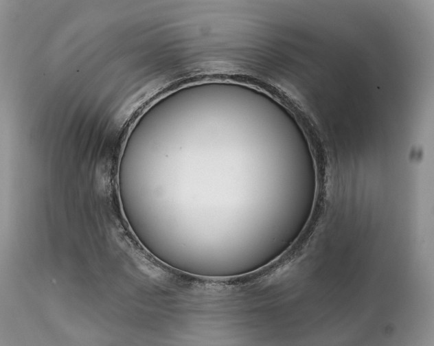 X0000112100873200908111415
