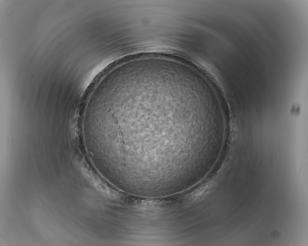 X0000112100875200908111415