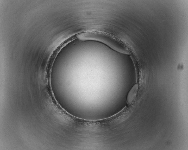 X0000112100876200908111415