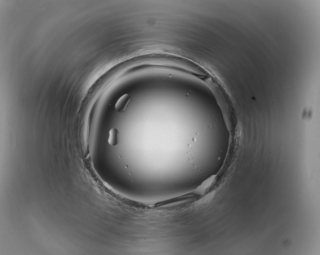 X0000112100877200908111415