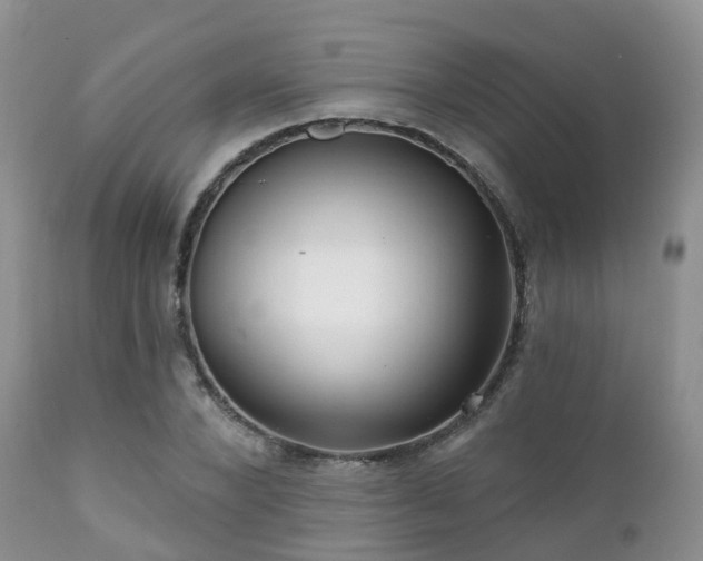 X0000112100880200908111415