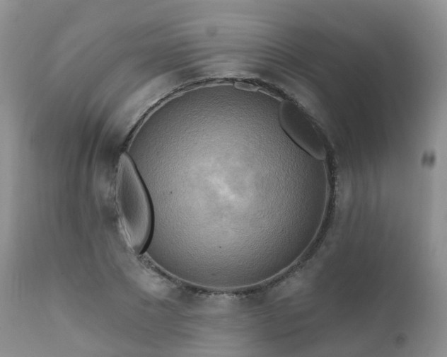 X0000112100881200908111415