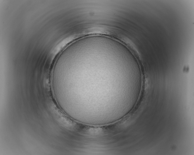 X0000112100882200908111415