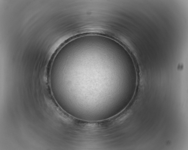 X0000112100883200908111415