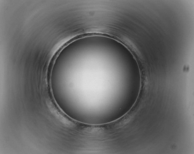 X0000112100884200908111415