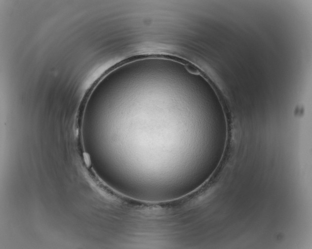 X0000112100885200908111415