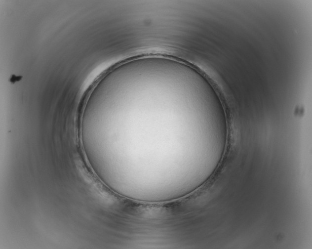 X0000112100886200908111415