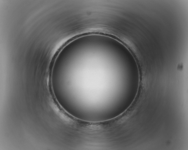 X0000112100888200908111415