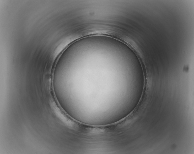 X0000112100890200908111415