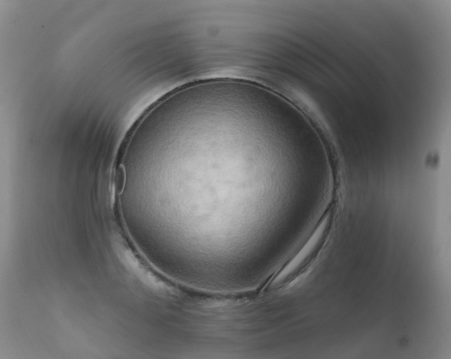 X0000112100892200908111415