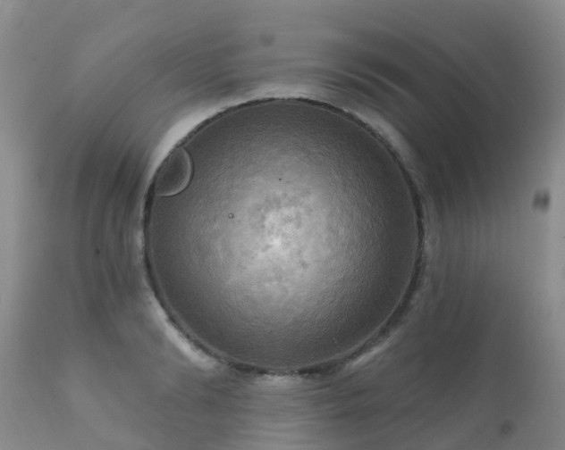 X0000112100894200908111415