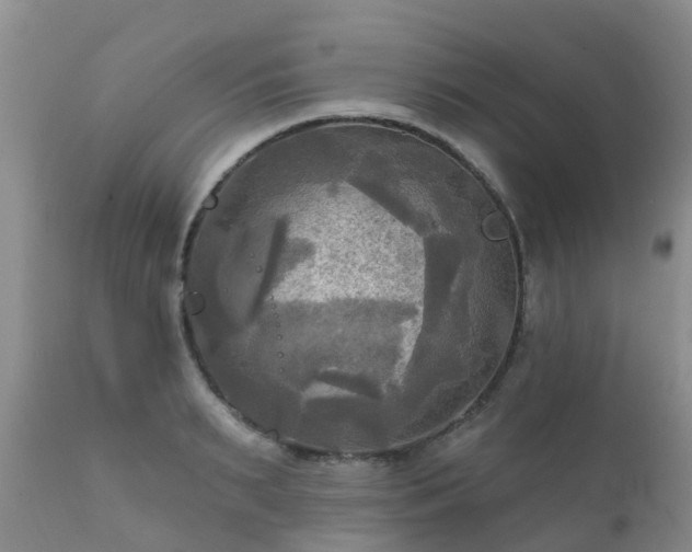 X0000112100895200908111415